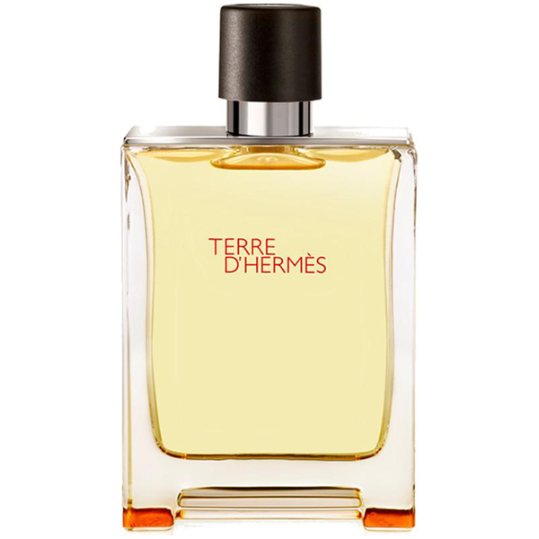 ادو تویلت مردانه هرمس مدل TERRE حجم 100 ML