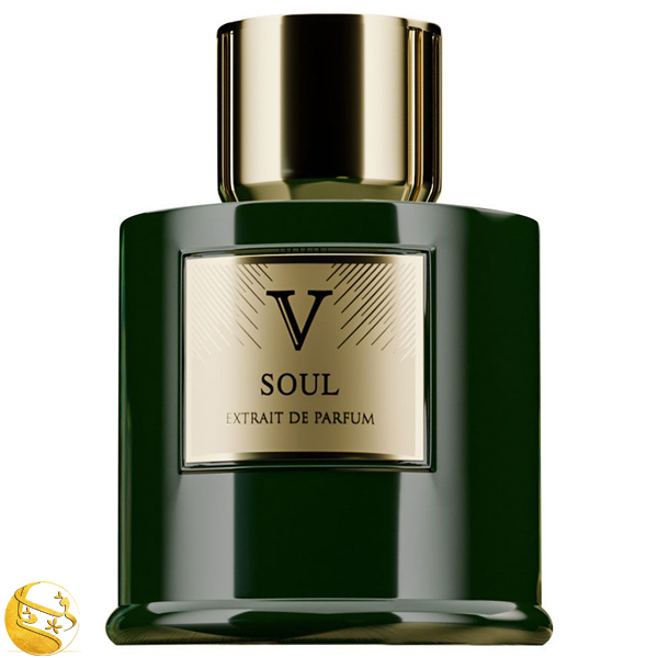 ادو پرفیوم مردانه روبرتو ویزاری مدل SOUL حجم 100ML